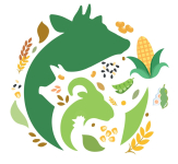 Современные аспекты кормления животных - 2026