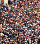 Обществознание - 2022/2023