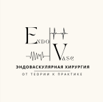 Эндоваскулярная хирургия: от теории к практике