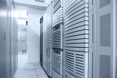 Информатика - 2021/2022