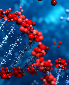 Генетика - 2022/2023