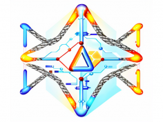 Нейрокомпьютеры и их применение