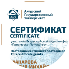 Дальневосточный видеомост "Приамурье-Приохотье"