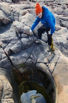 Дмитрий Кириллович Пушкарев