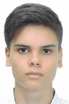 Андрей Евгеньевич Паули