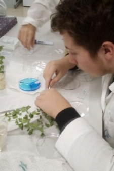 Вячеслав Иванович Алексеев