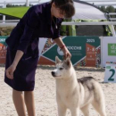 Хриткина Елена Сергеевна